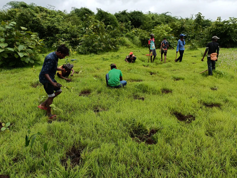  Grow-Trees.com has completed the 'Trees for Mumbai Metropolitan Region’ project