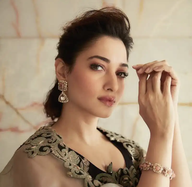 Tamannaah Bhatia's Stellar Year: Cinematic Highs and OTT Victories